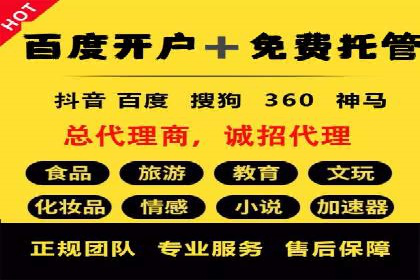 SEM代理操作技巧：成功案例揭秘